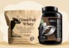 Is Whey Protein Good for Weight Loss