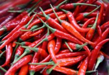 Incredible benefits of Chili peppers