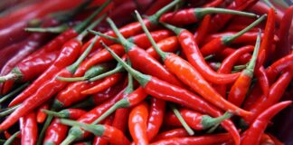Incredible benefits of Chili peppers