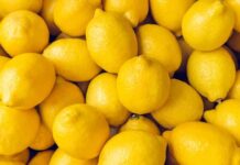 Amazing health benefits of Lemon