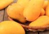 8 amazing benefits of eating mangoes