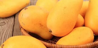 8 amazing benefits of eating mangoes