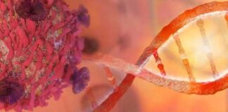 Most prevalent types of cancer you need to avoid