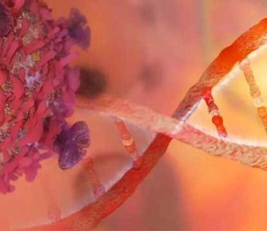 Most prevalent types of cancer you need to avoid