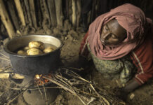 Understand food insecurity.