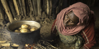 Understand food insecurity.