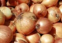 6 Surprising benefits of Onions
