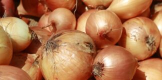 6 Surprising benefits of Onions