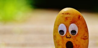 Eating Potato not makes you a Potato