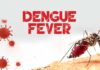 Dengue fever
