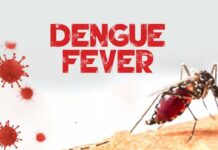 Dengue fever