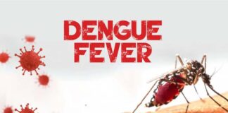 Dengue fever