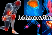 3 diets that reduce inflammation