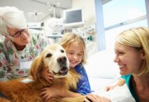 3 ways in which Pets can help Seniors